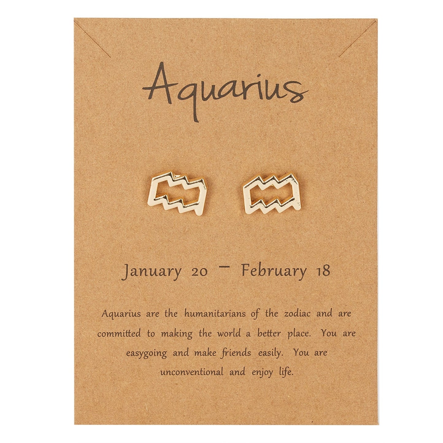 Aquarius Zodiac Earrings